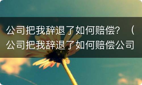 公司把我辞退了如何赔偿？（公司把我辞退了如何赔偿公司）