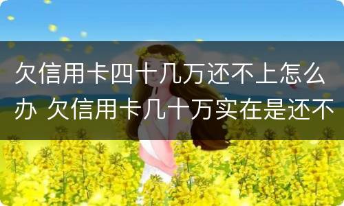 欠信用卡四十几万还不上怎么办 欠信用卡几十万实在是还不上,怎么办