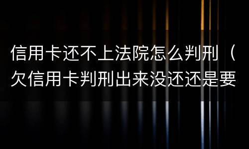 信用卡还不上法院怎么判刑（欠信用卡判刑出来没还还是要判刑吗）