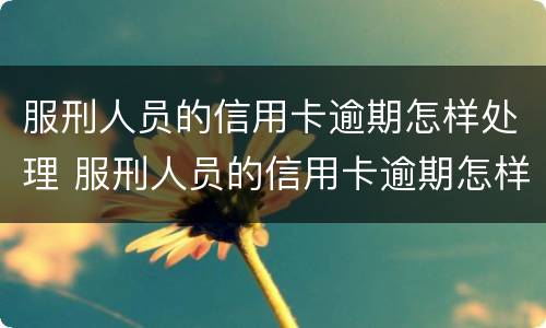 服刑人员的信用卡逾期怎样处理 服刑人员的信用卡逾期怎样处理好