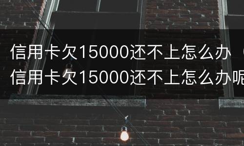 信用卡欠15000还不上怎么办（信用卡欠15000还不上怎么办呢）