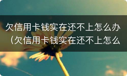 欠信用卡钱实在还不上怎么办（欠信用卡钱实在还不上怎么办呀）