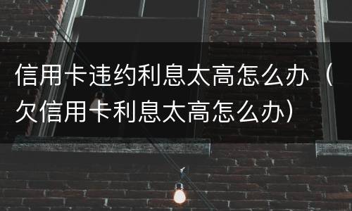 信用卡违约利息太高怎么办（欠信用卡利息太高怎么办）
