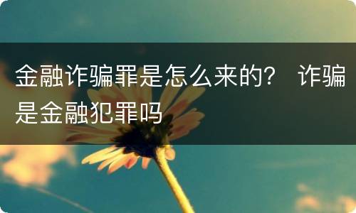 金融诈骗罪是怎么来的？ 诈骗是金融犯罪吗
