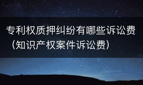 专利权质押纠纷有哪些诉讼费（知识产权案件诉讼费）