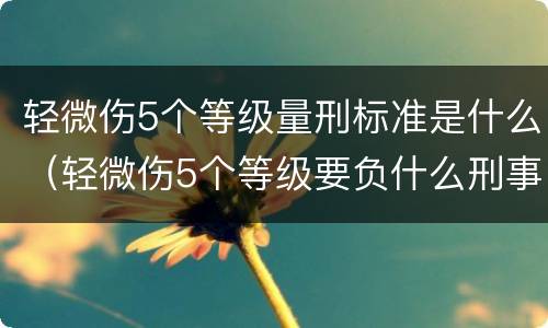 轻微伤5个等级量刑标准是什么（轻微伤5个等级要负什么刑事责任）