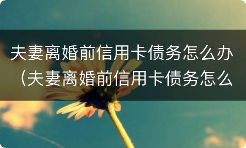 夫妻离婚前信用卡债务怎么办（夫妻离婚前信用卡债务怎么办理）