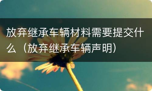 放弃继承车辆材料需要提交什么（放弃继承车辆声明）