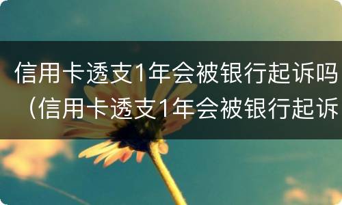 信用卡透支1年会被银行起诉吗（信用卡透支1年会被银行起诉吗怎么办）