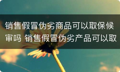 销售假冒伪劣商品可以取保候审吗 销售假冒伪劣产品可以取保候审吗