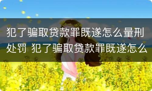 犯了骗取贷款罪既遂怎么量刑处罚 犯了骗取贷款罪既遂怎么量刑处罚标准