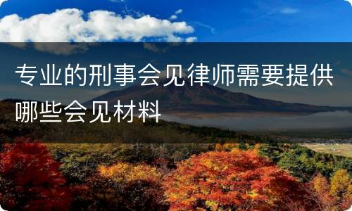 专业的刑事会见律师需要提供哪些会见材料