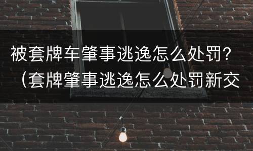 被套牌车肇事逃逸怎么处罚？（套牌肇事逃逸怎么处罚新交规）