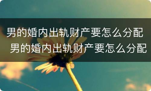 男的婚内出轨财产要怎么分配 男的婚内出轨财产要怎么分配呢