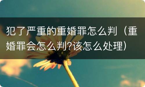 犯了严重的重婚罪怎么判（重婚罪会怎么判?该怎么处理）