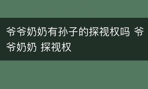 爷爷奶奶有孙子的探视权吗 爷爷奶奶 探视权