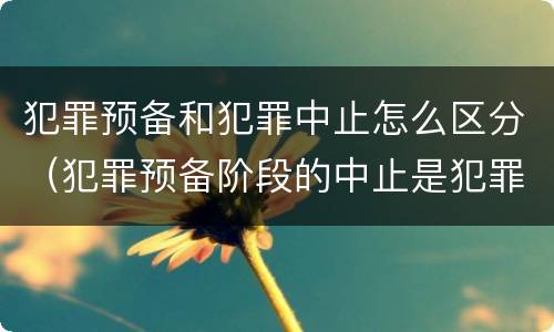 犯罪预备和犯罪中止怎么区分（犯罪预备阶段的中止是犯罪中止还是犯罪预备）