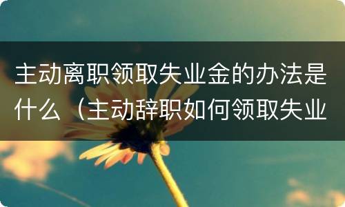 主动离职领取失业金的办法是什么（主动辞职如何领取失业金）