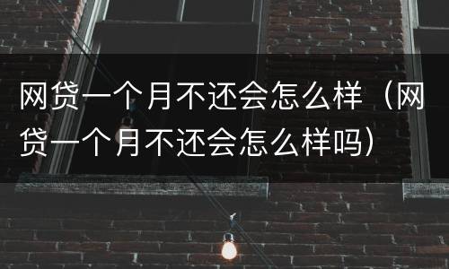 网贷一个月不还会怎么样（网贷一个月不还会怎么样吗）