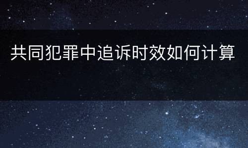 共同犯罪中追诉时效如何计算