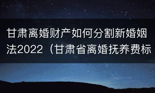 甘肃离婚财产如何分割新婚姻法2022（甘肃省离婚抚养费标准）