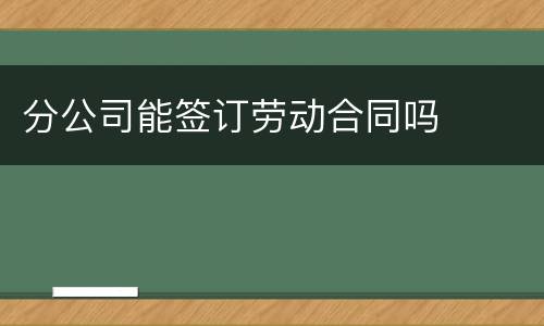 分公司能签订劳动合同吗