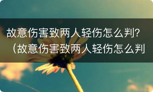 故意伤害致两人轻伤怎么判？（故意伤害致两人轻伤怎么判刑）