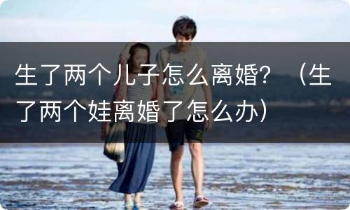 生了两个儿子怎么离婚？（生了两个娃离婚了怎么办）