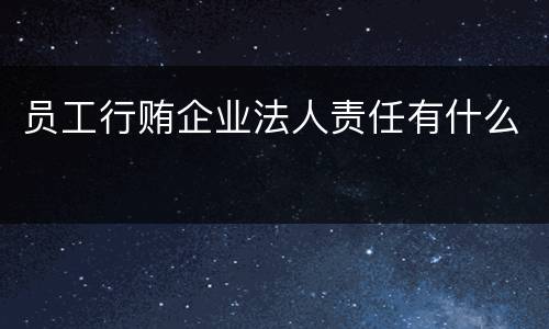 员工行贿企业法人责任有什么
