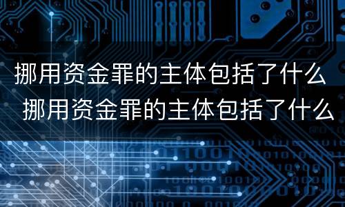 挪用资金罪的主体包括了什么 挪用资金罪的主体包括了什么