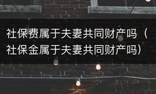 社保费属于夫妻共同财产吗（社保金属于夫妻共同财产吗）