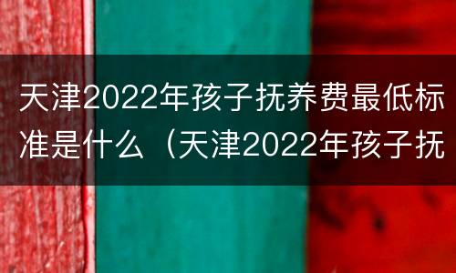 天津2022年孩子抚养费最低标准是什么（天津2022年孩子抚养费最低标准是什么呢）