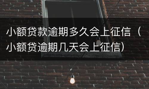 小额贷款逾期多久会上征信（小额贷逾期几天会上征信）