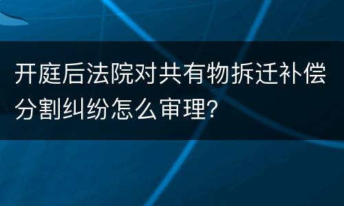 开庭后法院对共有物拆迁补偿分割纠纷怎么审理？