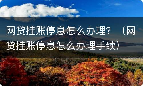 网贷挂账停息怎么办理？（网贷挂账停息怎么办理手续）