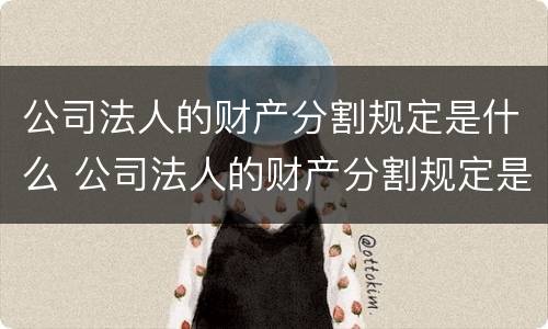 公司法人的财产分割规定是什么 公司法人的财产分割规定是什么意思