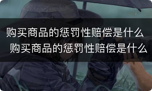 购买商品的惩罚性赔偿是什么 购买商品的惩罚性赔偿是什么