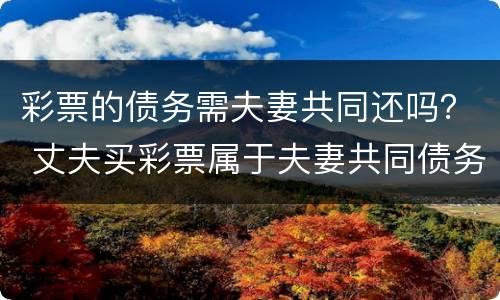 彩票的债务需夫妻共同还吗？ 丈夫买彩票属于夫妻共同债务