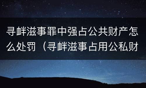 寻衅滋事罪中强占公共财产怎么处罚（寻衅滋事占用公私财物如何理解）