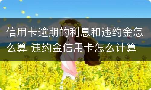 信用卡逾期的利息和违约金怎么算 违约金信用卡怎么计算