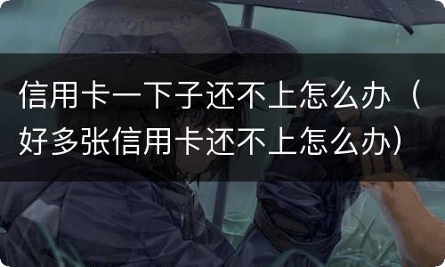 信用卡一下子还不上怎么办（好多张信用卡还不上怎么办）