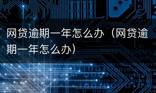 网贷逾期一年怎么办（网贷逾期一年怎么办）