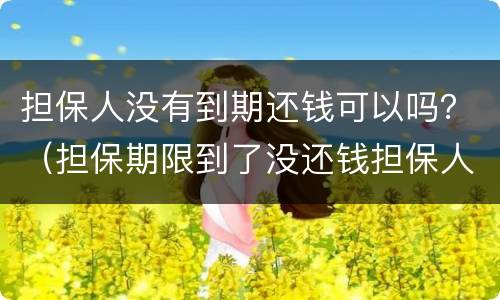 担保人没有到期还钱可以吗？（担保期限到了没还钱担保人有责任吗）