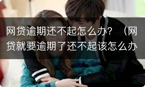 网贷逾期还不起怎么办？（网贷就要逾期了还不起该怎么办）