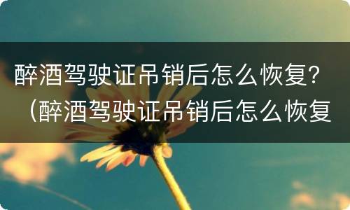 醉酒驾驶证吊销后怎么恢复？（醉酒驾驶证吊销后怎么恢复）