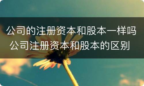 公司的注册资本和股本一样吗 公司注册资本和股本的区别
