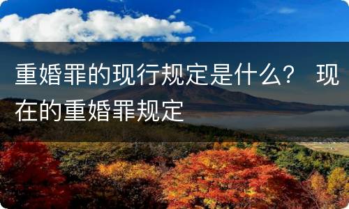 重婚罪的现行规定是什么？ 现在的重婚罪规定