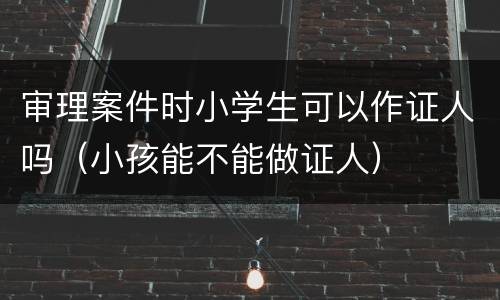 审理案件时小学生可以作证人吗（小孩能不能做证人）
