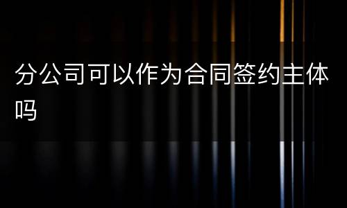 分公司可以作为合同签约主体吗