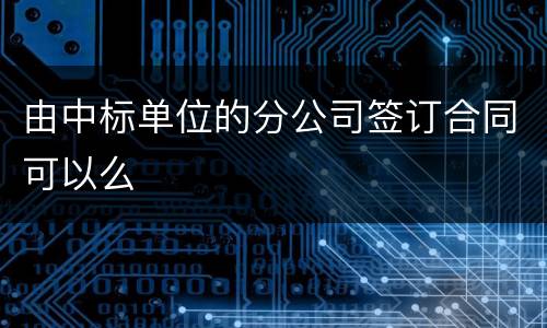由中标单位的分公司签订合同可以么